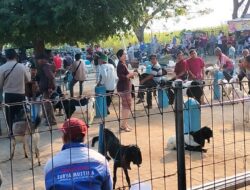 Pemdes Banjarsari wetan Bangun pasar hewan demi peningkatan ekonomi warga